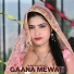 Sahin Khan Mewati