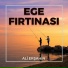 Ali Erşahin
