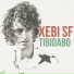 Xebi SF