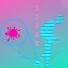 Noise Voise
