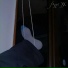 Kept XX