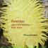 Perséides