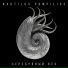 Nautilus Pompilius