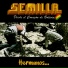 Semilla
