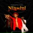Hamadai feat. Alikiba