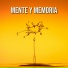 Relaxing Spa Music