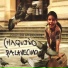 El Chaqueño Palavecino