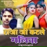 Raju Bhardwaj