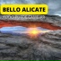 Bello Alicate