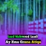 Saad Mahmood Saadi