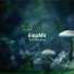 EmaM4