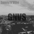 Sunny'N'Vibe