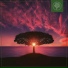 Wiz Key, Beats for Trees