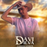 Davi Silva