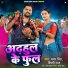Samar Singh, Shilpi Raj