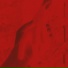 Menocii