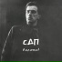 СДП