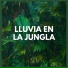 Sonidos De La Selva