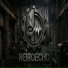 NeiroEcho