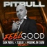 Pitbull feat. Anthony Watts, DJWS