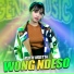 Putri Kristya, Ageng Music