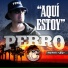 Perro