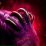 kme dota, Corazn