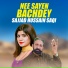 Sajjad Hussain Saqi