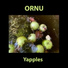 Ornu