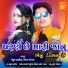 Mehul Bariya, Viral Tirgar