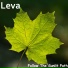 Leva