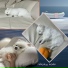 Relaxing Mode