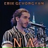 Erik Gevorgyan