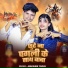 Abhishek Yadav