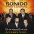 Sonido Profesional