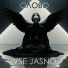 Vse jasno