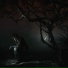 Chris Grey