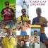 Ícaro Cat