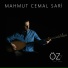 Mahmut Cemal Sari