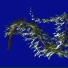 Willowcrest Healing and Light Center
