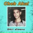 Cheb Akal