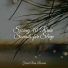 Rainfall, Pink Noise, Nature Sounds XLE Library
