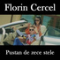 Florin Cercel
