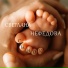 Светлана Нефедова
