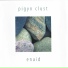 Pigyn Clust