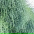 燕南边