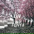 Fenya
