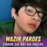 Wazir Pardes