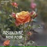 Arsenchik