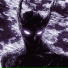 DYNAMIS, DARKXHAWK